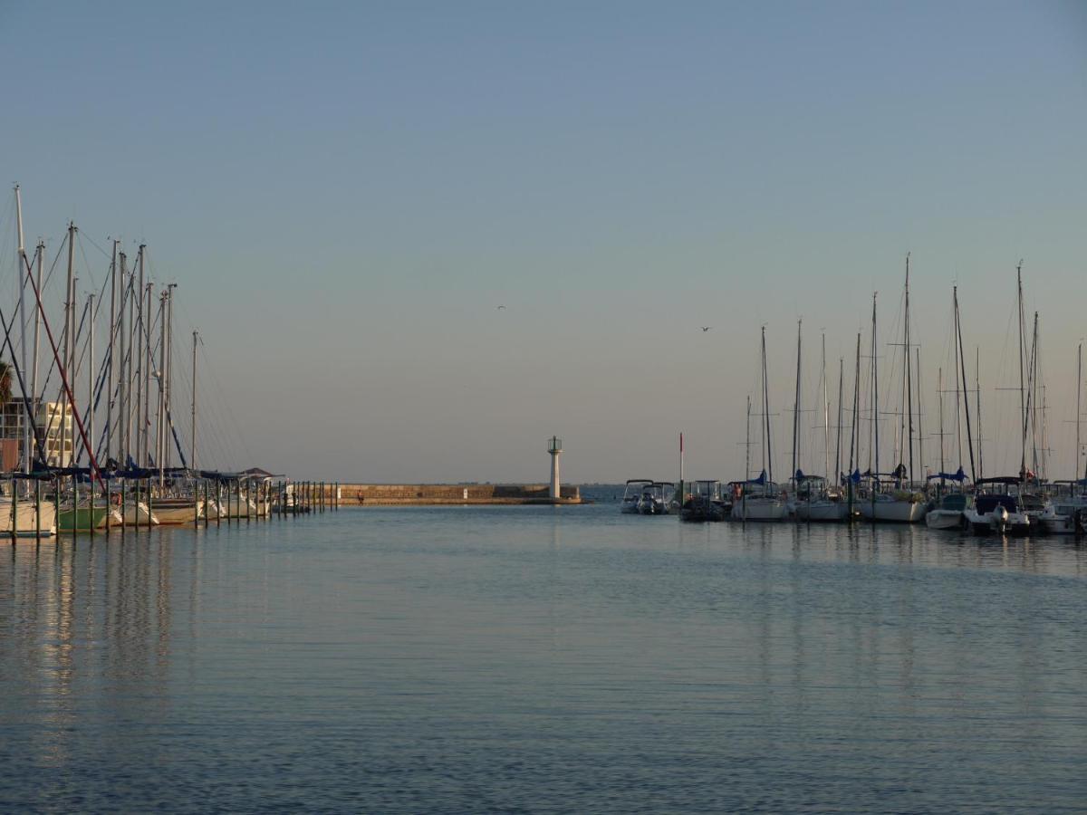 Les Argonautes: Beachfront With Pool And Sea Views Agde